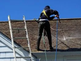 Roofer on a ladder cleaning a shingle roof